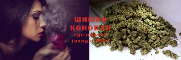 ПСИЛОЦИБИНОВЫЕ ГРИБЫ Карпинск