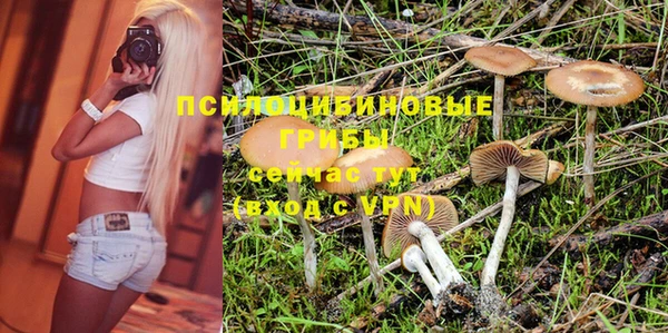 ПСИЛОЦИБИНОВЫЕ ГРИБЫ Карпинск