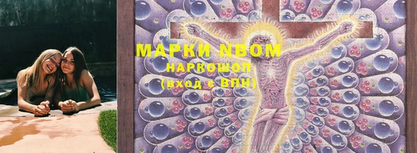 ПСИЛОЦИБИНОВЫЕ ГРИБЫ Карпинск