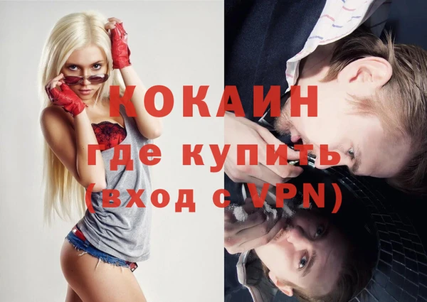 ПСИЛОЦИБИНОВЫЕ ГРИБЫ Карпинск