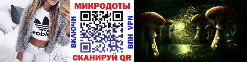 Галлюциногенные грибы ЛСД  Купить где  Буй 
